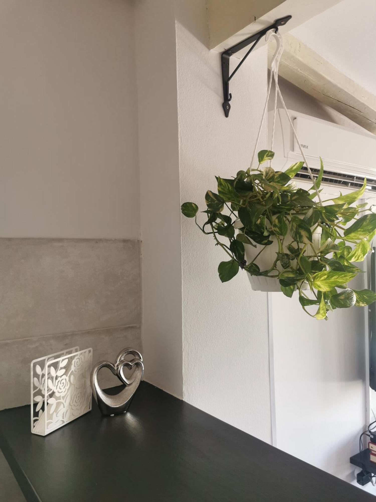 Apartment Katy PUY 외부 사진